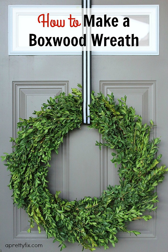 How to Make a Boxwood Wreath.
