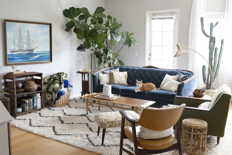 plants to create cozy living room